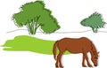 Landscape with green shrub and horse